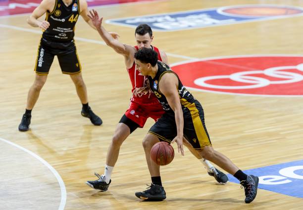 视的力量 视的力量