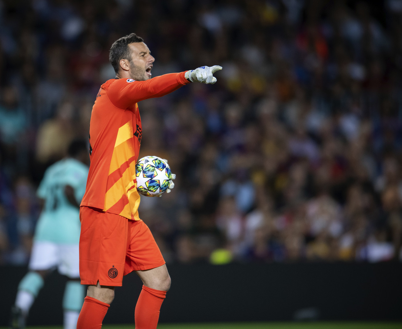 意义能够加 意义能够加